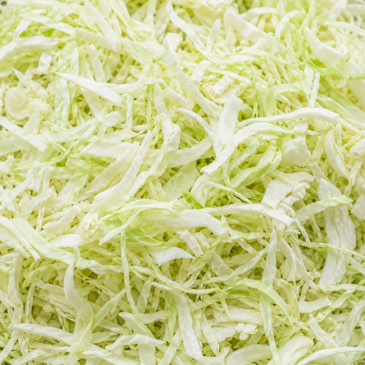 Cabbage White Shredded