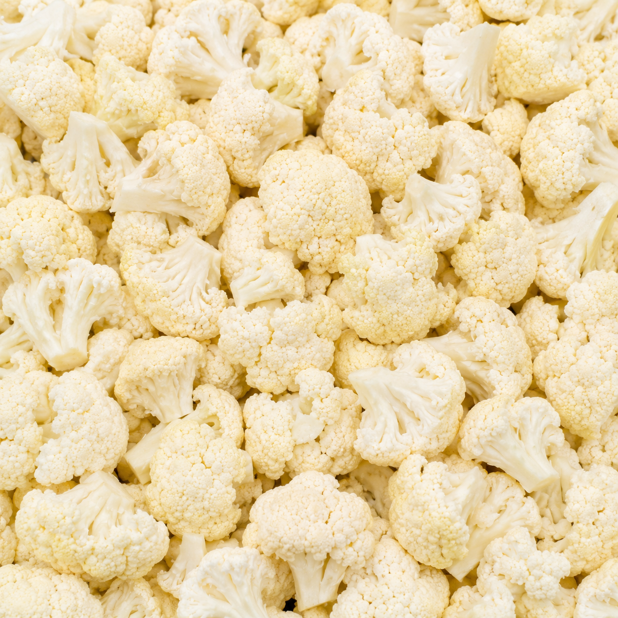 Cauliflower Flortes