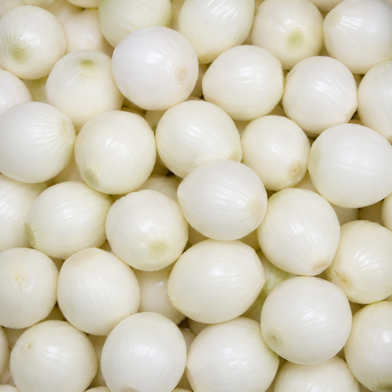 Onions White Cleaned
